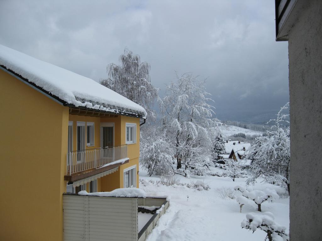 Gästehaus Steininger Zwiesel Exterior foto
