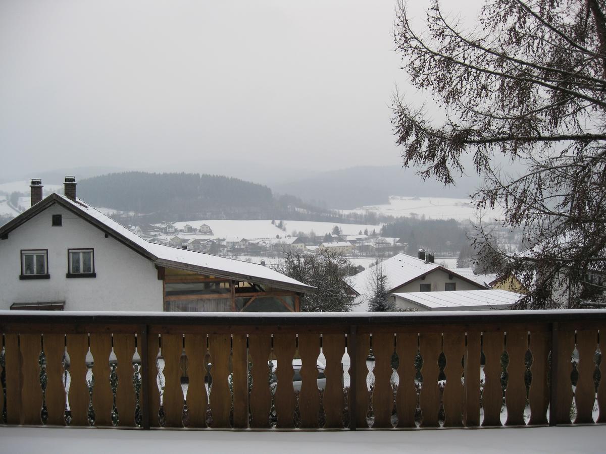 Gästehaus Steininger Zwiesel Exterior foto